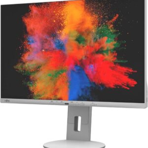 Fujitsu B2410 WE Monitor
