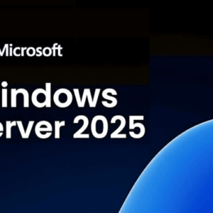 Windows Server CAL 2025 English 1pk DSP OEI 5 Clt User CAL