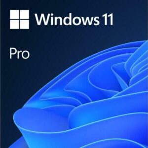 Win 11 Pro 64Bit Eng Intl 1pk DSP OEI DVD