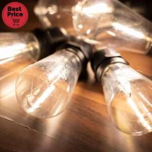 Home LPL 10 PAPAYA filament LED-es fényfüzér, 4,5 m / 10 db melegfehér filament LED, víztiszta búra, sorolható, fekete gumivezeték, adapter, kül- és beltéri kivitel
