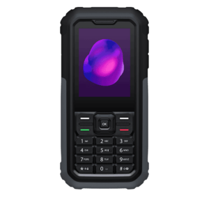 TCL 3189D DS 4G - Grey